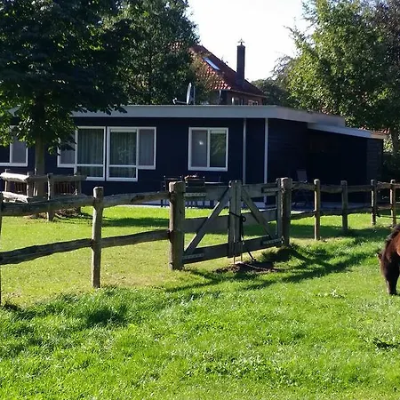 Vakantiehuis Het Boshuisje