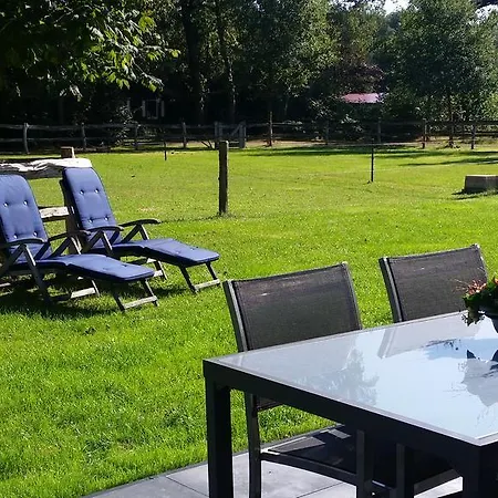 Vakantiehuis Het Boshuisje Putten